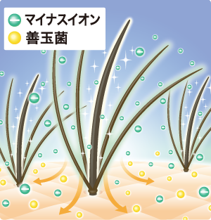 特殊加工で元気な髪に