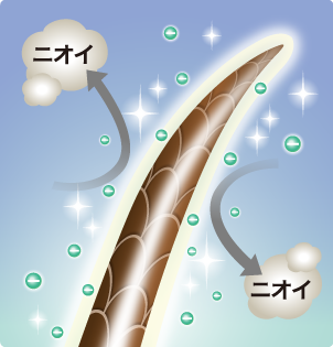 まるで森林浴